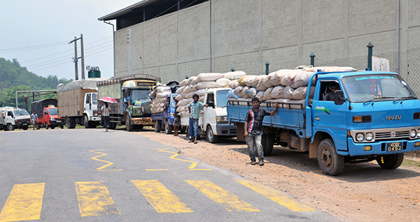 local-supplies